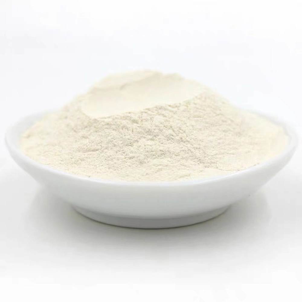 Onion Powder